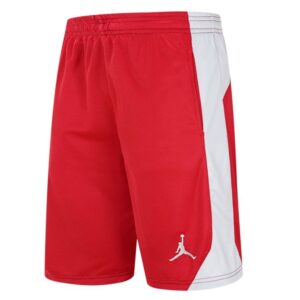 Basketball Shorts Air Jordan Shorts 4821