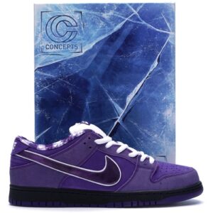 Concepts x Nike Dunk Low SB Purple Lobster Special Box BV1310 555