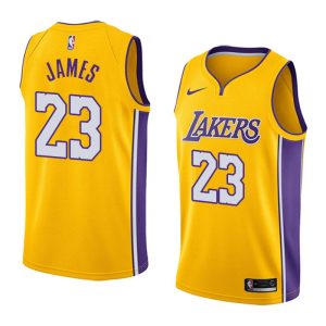 2018-19 LeBron James Los Angeles Lakers Basketball Jersey #23 Icon Gold 45985