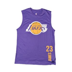 Sports Jersey 2020 Los Angeles Lakers James 23 Purple Shirt Purple 92205