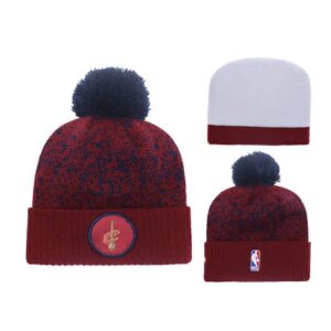 2019 Cleveland Cavaliers Vinous Hat 100530