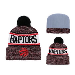 2019 NBA Toronto Raptors Vinous Hat 103487