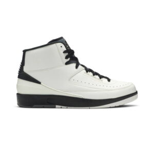 Air Jordan 2 Retro Wing It Sneakers 834272 103