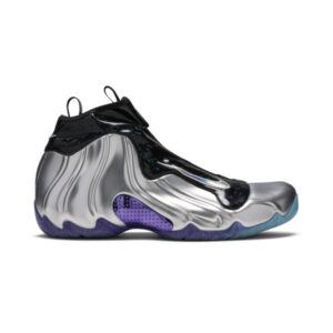 Nike Air Flightposite China Hoop Dreams CJ8010 990