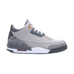 Air Jordan 3 Retro LS Cool Gray 2006 315297 062