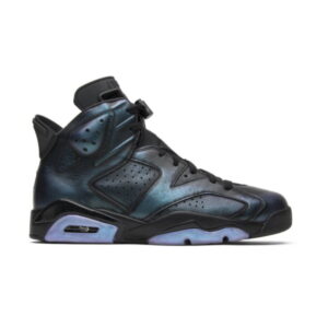 Air Jordan 6 Retro All Star – Chameleon 907961 015