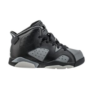 Air Jordan 6 Retro PS Cool Gray Grey 384666 010