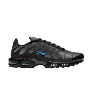 Nike Air Max Plus Black Hex Sneakers Black DC1935 001