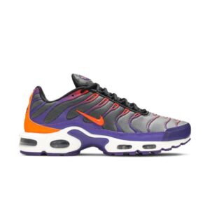 Nike Air Max Plus Color Flip Sneakers CI5924 061