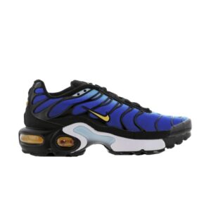 Nike Air Max Plus GS Hyper Blue Blue BV7426 003