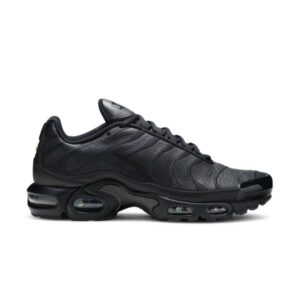 Nike Air Max Plus TN Triple Black AJ2029 001