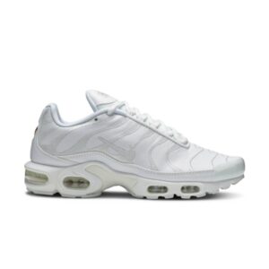 Nike Air Max Plus TN Triple White AJ2029 100