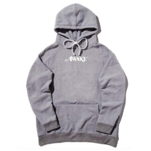 Awake Metallic Foil Logo Hoodie Gray Orange 287461