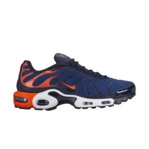 Nike Air Max Plus Blue Orange 852630 404