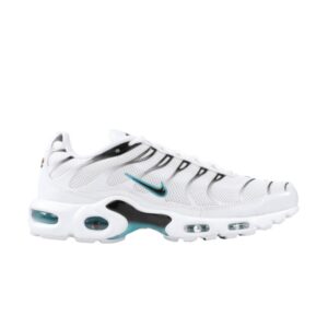 Nike Air Max Plus Dusty Cactus sneakers 852630 106