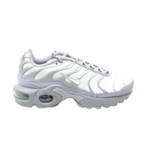 Nike Air Max Plus GS Wolf Gray 655020 080