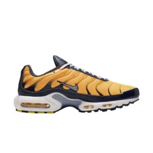 Nike Air Max Plus Orange AJ2013 800