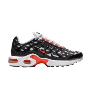 Nike Air Max Plus SE GS Just Do It Grey AT6143 100