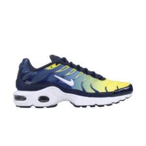 Nike Air Max Plus TN GS Obsidian White 655020 420