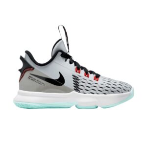 Nike LeBron Witness 5 PS Pure Platinum Light Dew CT4630 006