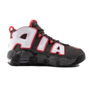 Nike Air More Uptempo Brown Bulls GS DH9719 200