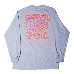 Awake Wave Logo L/S Tee Heather Gray 337917