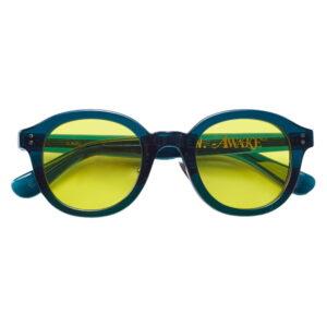 Awake x N.E.W sunglasses Sunglasses Green Green 341557