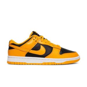 Nike Dunk Low Goldenrod sneakers DD1391 004