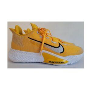 Nike Air Zoom BB NXT TB University Gold Black CK5879 702