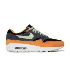 Nike Air Max 1 Premium Ugly Duckling – Honeydew Anthracite/Honeydew/Black/Kumquat/Honeydew DZ0482 001