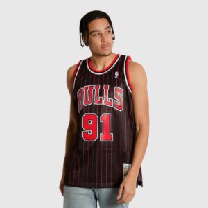 Basketball Jersey 1995-1996 Chicago Bulls Dennis Rodman #91 Swingman Hardwood Classic Pinstripe Jersey 692565