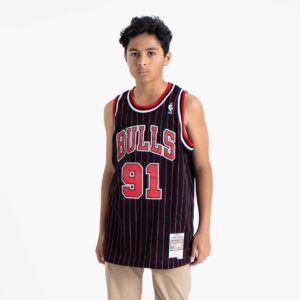 Basketball Jersey 1995-1996 Chicago Bulls Dennis Rodman #91 Youth Swingman Hardwood Classic Pinstripe Jersey Violet 692429