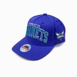 Mitchell & Ness Charlotte Hornets Raised Arch NBA Snapback Hat Tang 697550