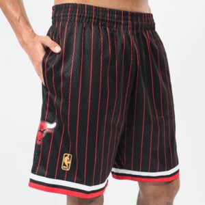 Mitchell & Ness Chicago Bulls 1996-97 Hardwood Classics Throwback Swingman NBA Pinstripe Shorts Black 711036