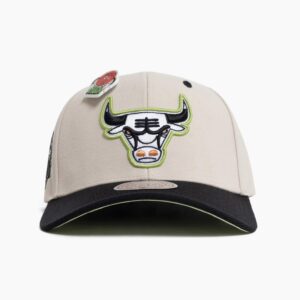 Mitchell & Ness Chicago Bulls Basketball Pro Crown NBA Snapback Hat White 703058