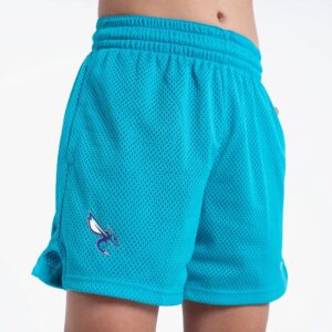 Nike Charlotte Hornets Dri-Fit Youth NBA Shorts Turquoise 708779