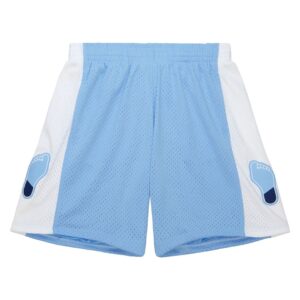 Mitchell & Ness North Carolina Tar Heels 1992-93 Hardwood Classics Throwback Swingman NCAA Shorts (Copy) Blue 711820