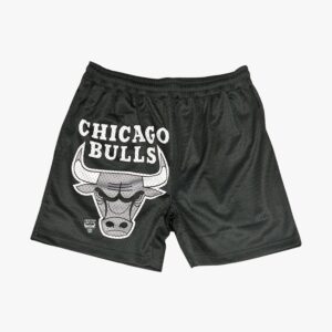 Chicago Bulls Apollo Mesh Team Logo NBA Shorts Black 718937