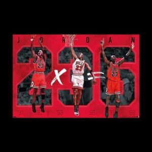 Michael Jordan Chicago Bulls 6 Rings NBA Wall Poster 720251