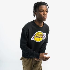 NBA Essentials Los Angeles Lakers Team Logo NBA Crew Neck Jumper T-Shirt 718300