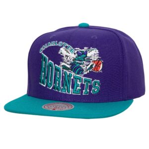 Mitchell & Ness Crooked Path Snapback HWC Charlotte Hornets Hat Violet 738421