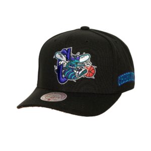 Mitchell & Ness Icon Grail Pro Snapback HWC Charlotte Hornets Hat Black 738126