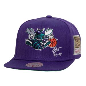 Mitchell & Ness Jersey Love Snapback HWC Charlotte Hornets Hat Grey 739983