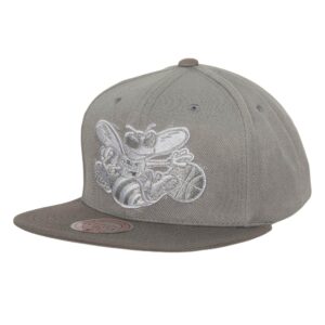 Mitchell & Ness Metallic Gray Snapback HWC Charlotte Hornets Hat Grey 739624