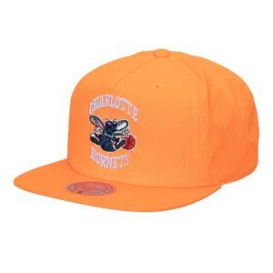 Mitchell & Ness Neon Nylon Snapback HWC Charlotte Hornets Hat White 739656