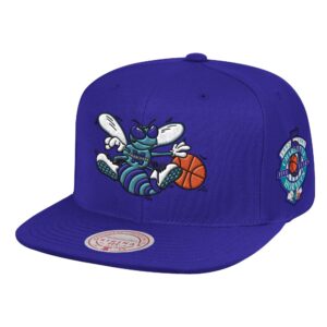 Mitchell & Ness Patches 2 Tone HWC Snapback Charlotte Hornets Hat Violet 739974