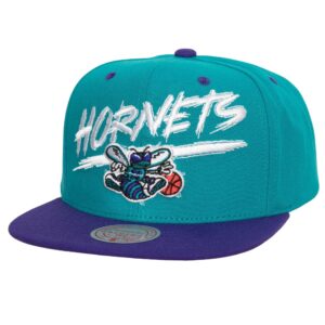 Mitchell & Ness Transcript Snapback HWC Charlotte Hornets Hat Violet 739825