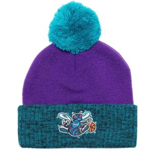 Mitchell & Ness Two Tone Pom Beanie HWC Charlotte Hornets Beanie Violet 739994