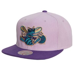 Baseball Cap Mitchell & Ness Violet Views Snapback HWC Charlotte Hornets Hat Violet 739966