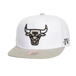 Mitchell & Ness Core IV Snapback Chicago Bulls White Hat Grey/White 746323